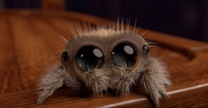 Animovaný pavouček, který musí každému okamžitě vyléčit arachnofobii!