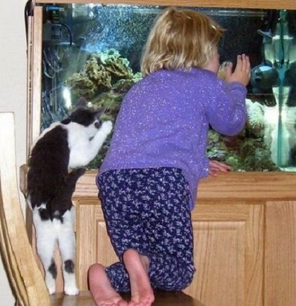 Děťátko a kočička pozorují rybičky