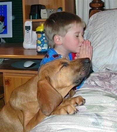 Modlící se dítě a pes
